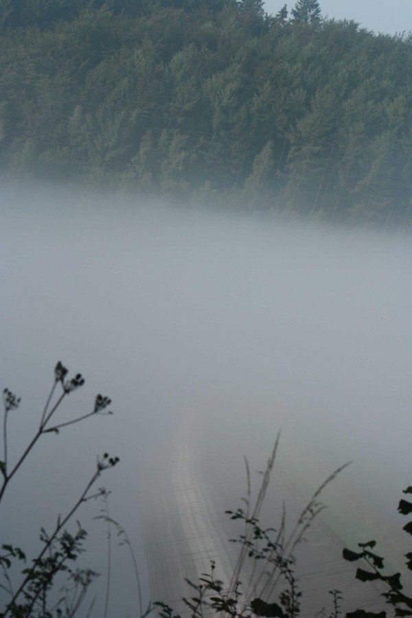 Ein Morgen an der Obernautalsperre