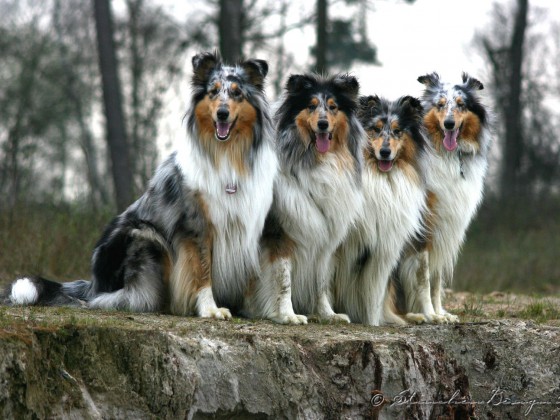 Aminah and Freunde am See...