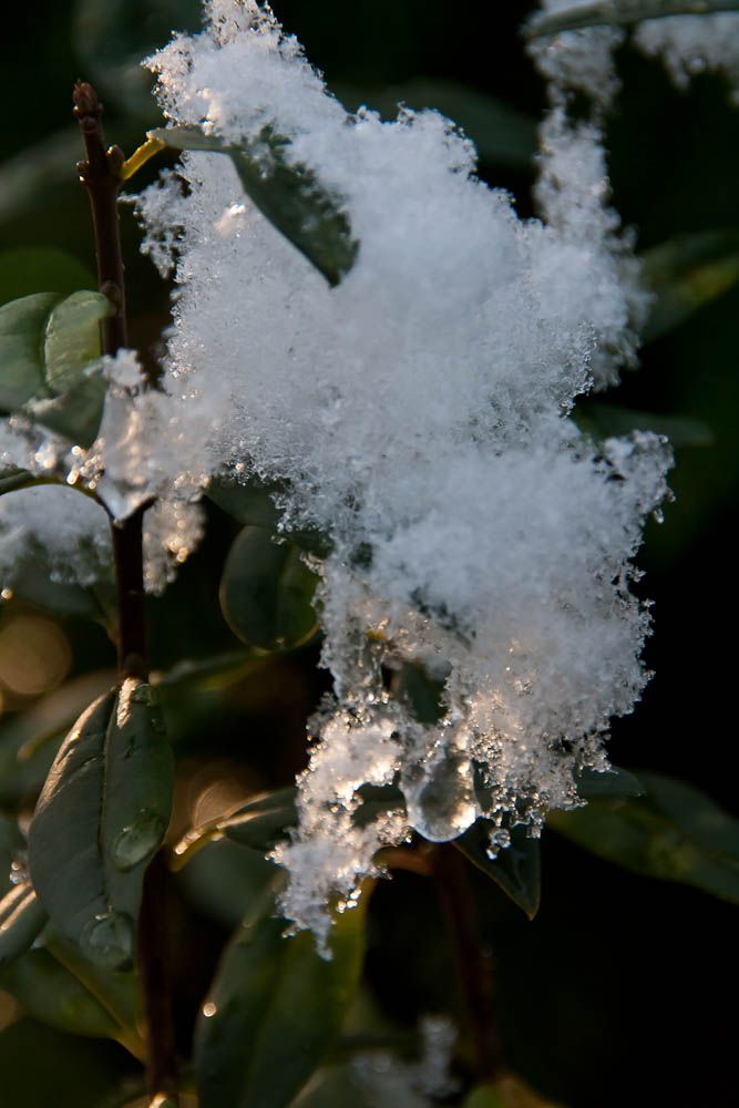 erster Schnee 03 1000 150 j