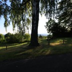 IMG_0483