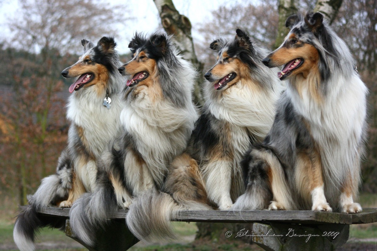 Aminah and Freunde am See...