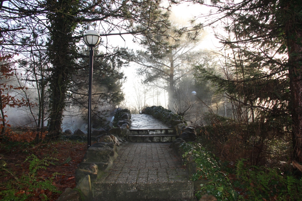 Brücke