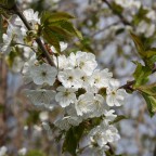 IMG_6614tujt