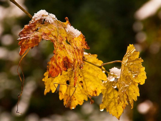 erster Schnee 01 1024 150 j