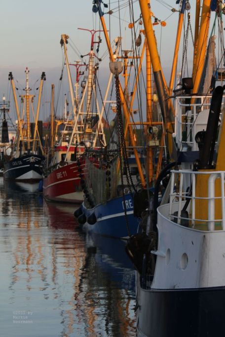 Kutter im Hafen